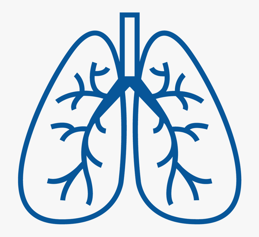 Detail Lung Clipart Nomer 18