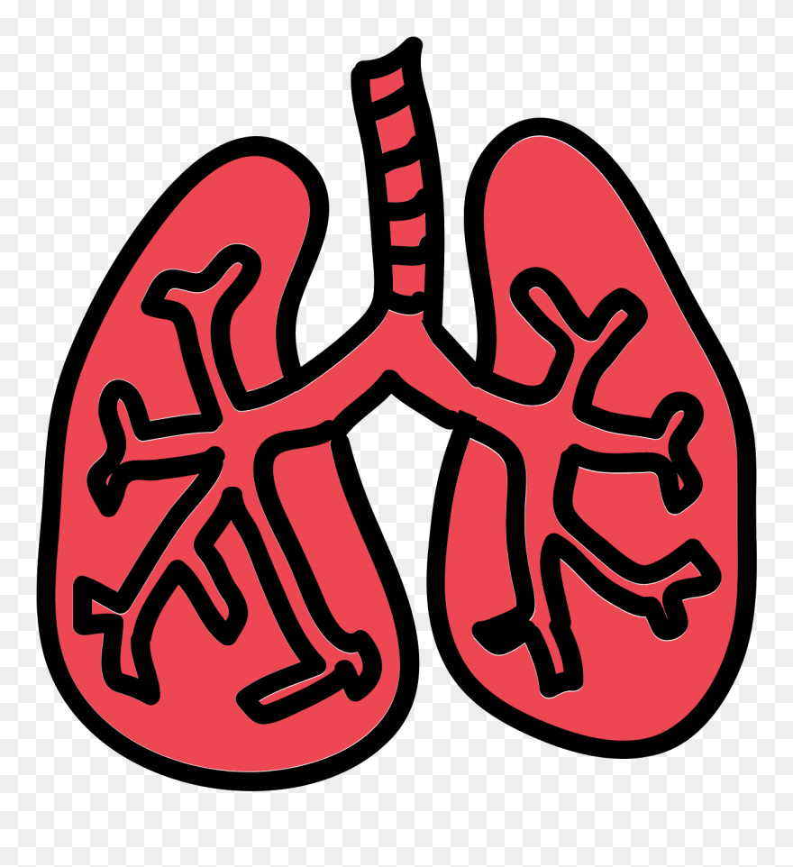 Detail Lung Clipart Nomer 24