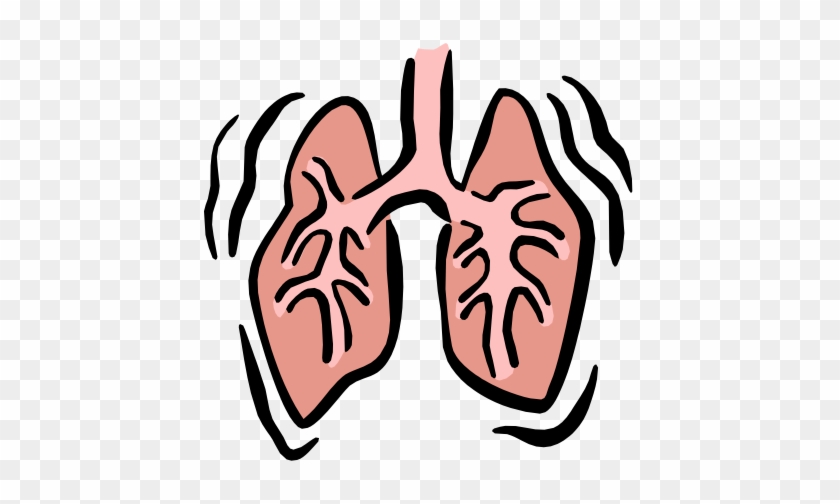 Detail Lung Clipart Nomer 33