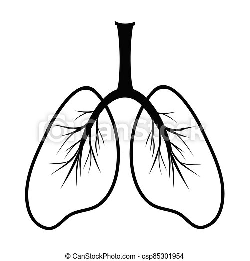 Detail Lung Clipart Nomer 34