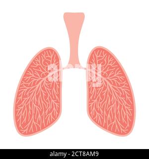 Detail Lung Clipart Nomer 43