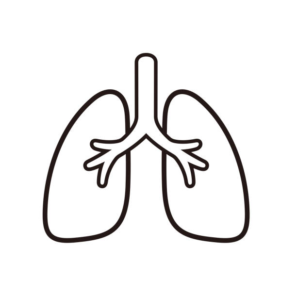 Detail Lung Clipart Nomer 7