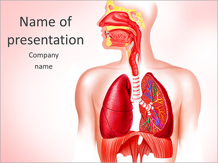 Detail Lung Powerpoint Template Nomer 52