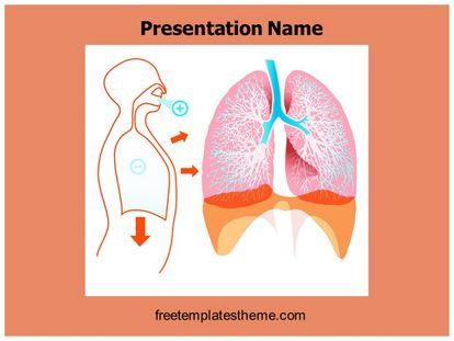 Detail Lung Powerpoint Template Free Nomer 11