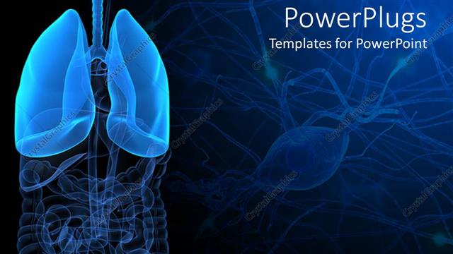 Detail Lung Powerpoint Template Free Nomer 13