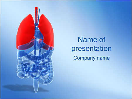 Detail Lung Powerpoint Template Free Nomer 23