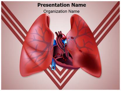 Detail Lung Powerpoint Template Free Nomer 24