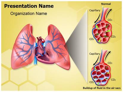 Detail Lung Powerpoint Template Free Nomer 27