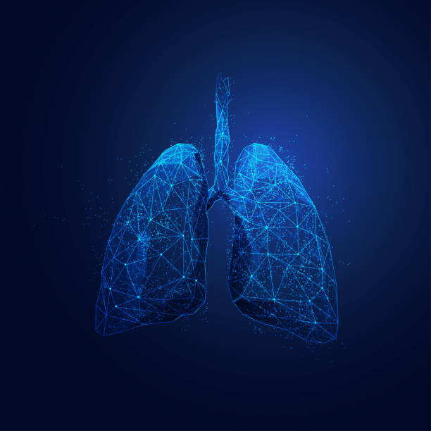 Detail Lung Wallpaper Nomer 2