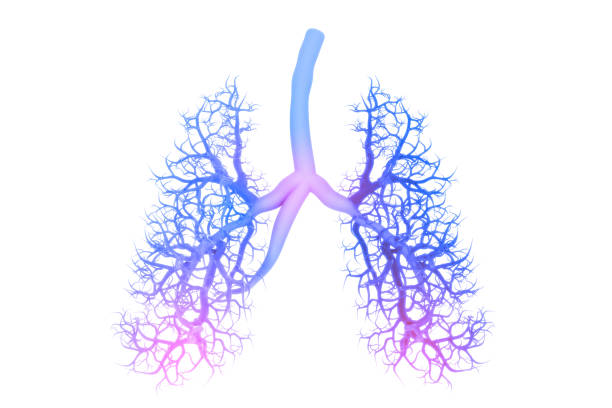 Detail Lung Wallpaper Nomer 22