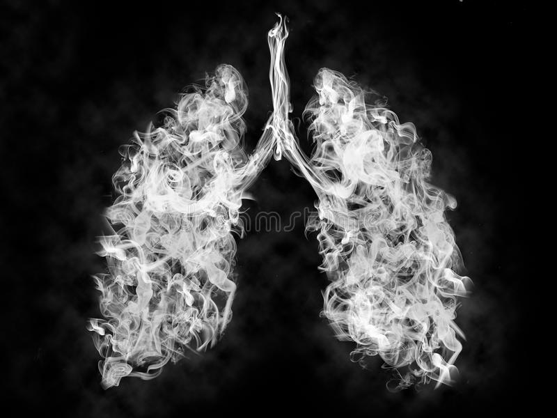 Detail Lung Wallpaper Nomer 25