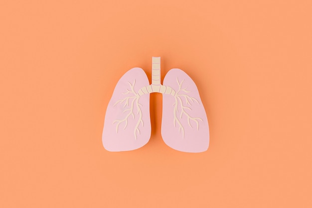 Detail Lung Wallpaper Nomer 26