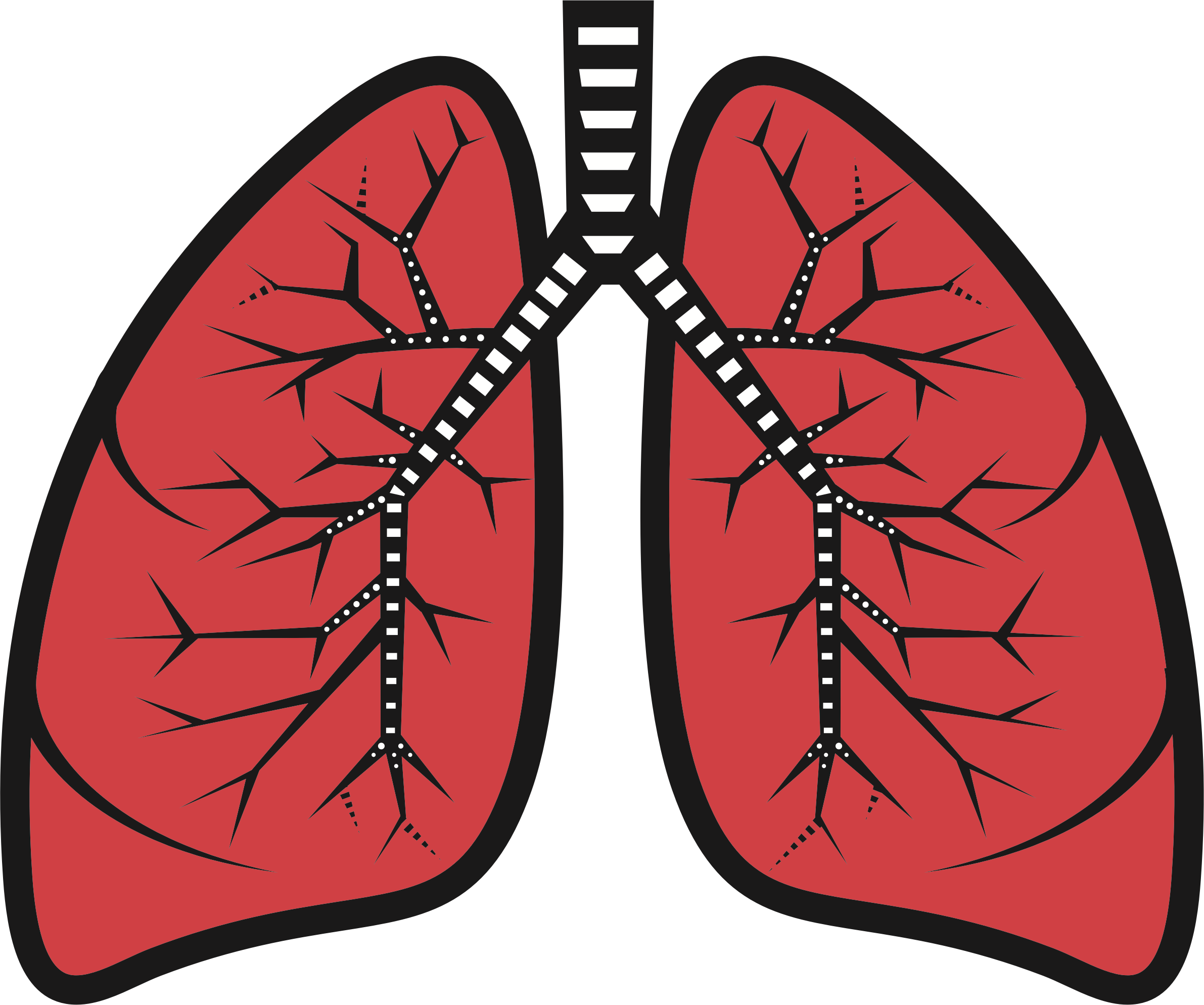 Detail Lung Wallpaper Nomer 45