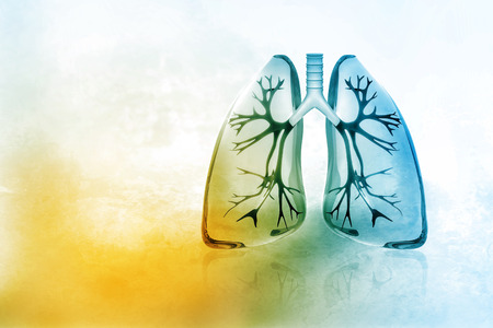 Detail Lung Wallpaper Nomer 7