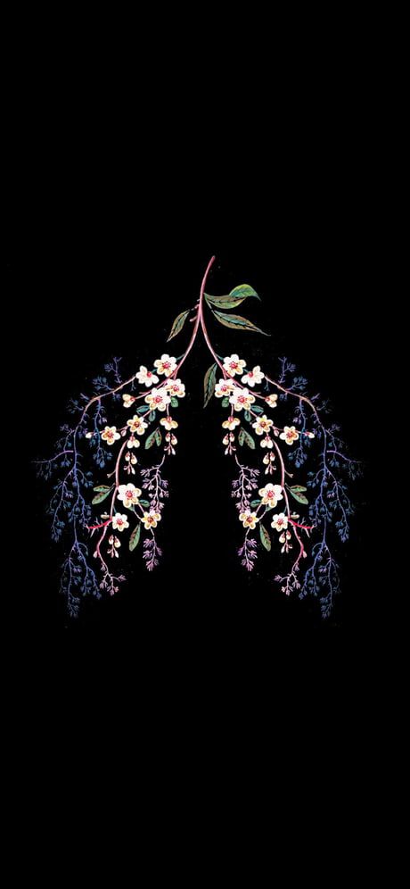 Detail Lung Wallpaper Nomer 9