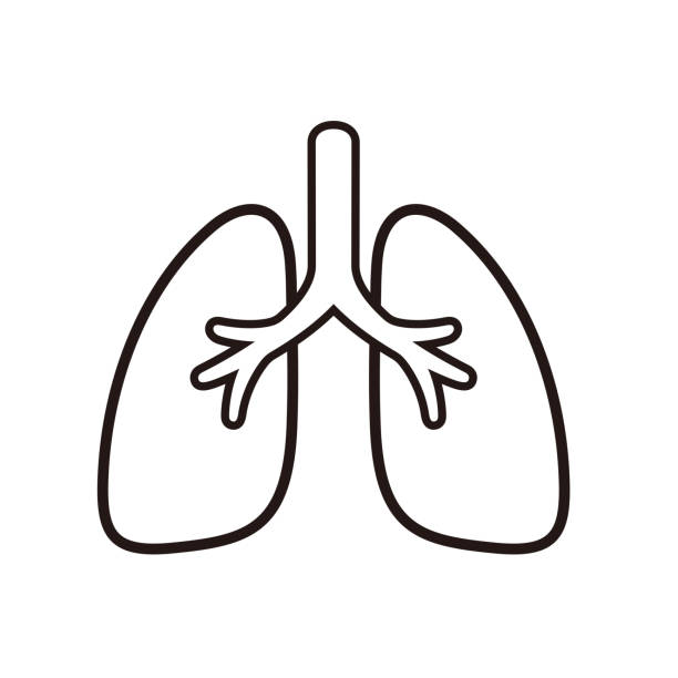 Detail Lungs Clipart Nomer 2