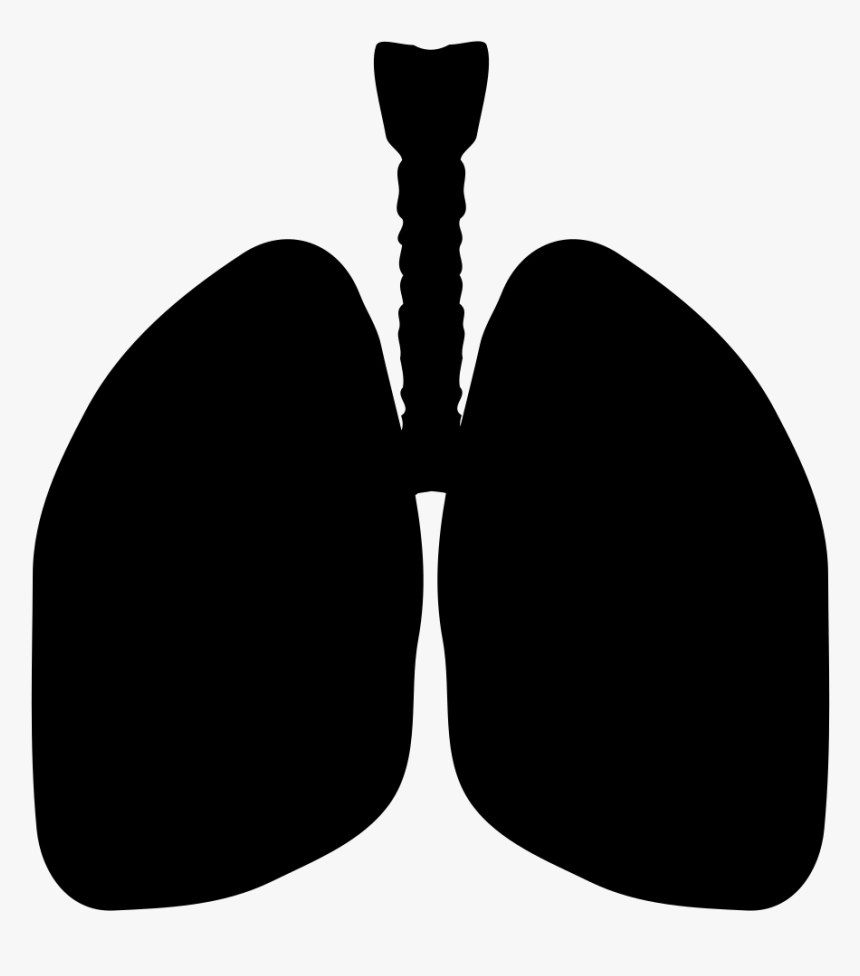 Detail Lungs Clipart Nomer 19