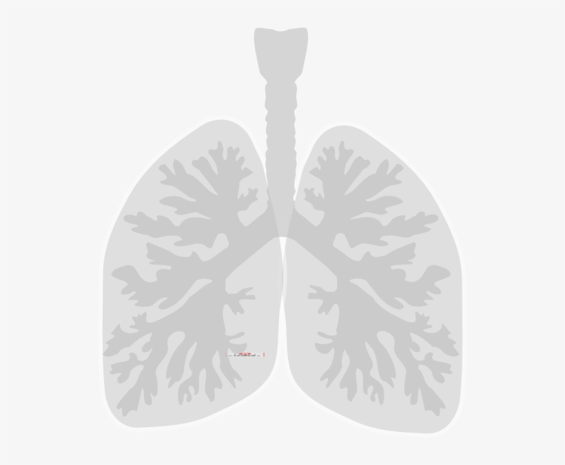 Detail Lungs Clipart Nomer 29