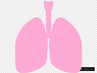 Detail Lungs Clipart Nomer 36