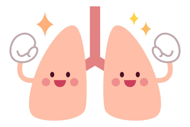 Detail Lungs Clipart Nomer 38