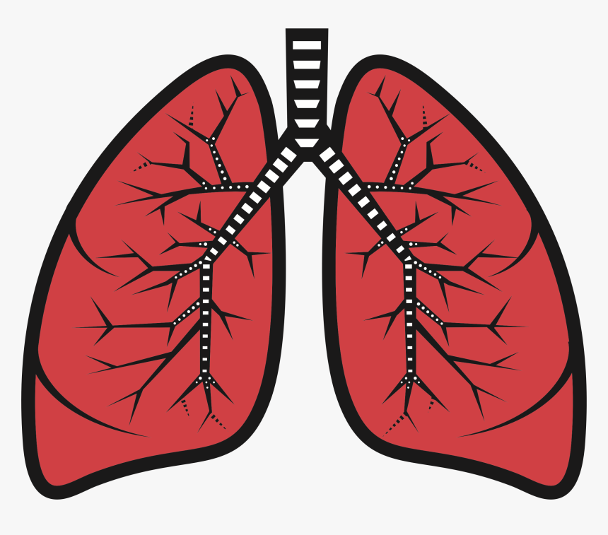 Detail Lungs Clipart Nomer 6