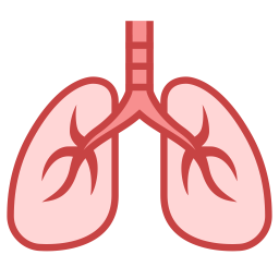 Detail Lungs Clipart Png Nomer 14