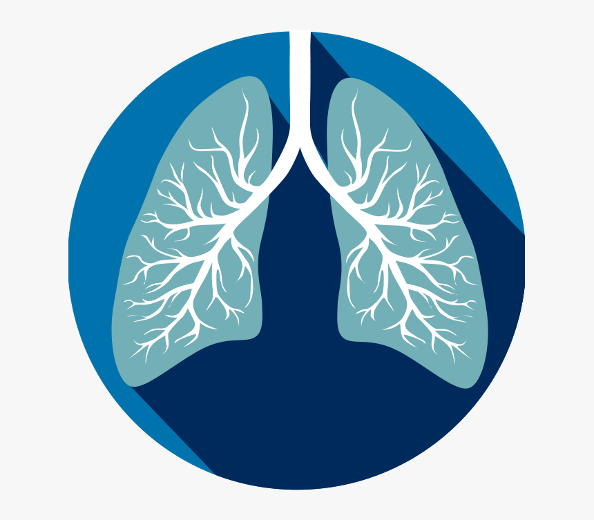 Detail Lungs Clipart Png Nomer 22