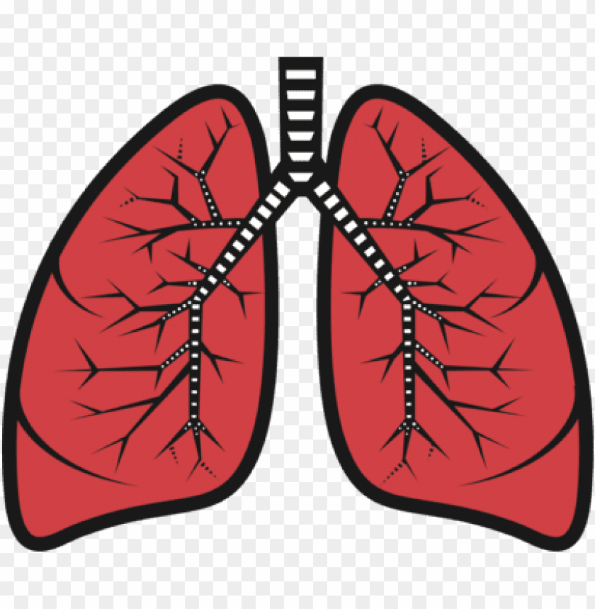 Detail Lungs Clipart Png Nomer 4