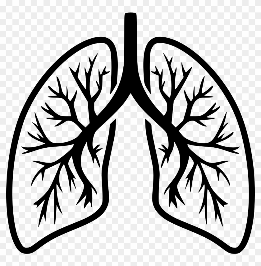 Detail Lungs Clipart Png Nomer 34