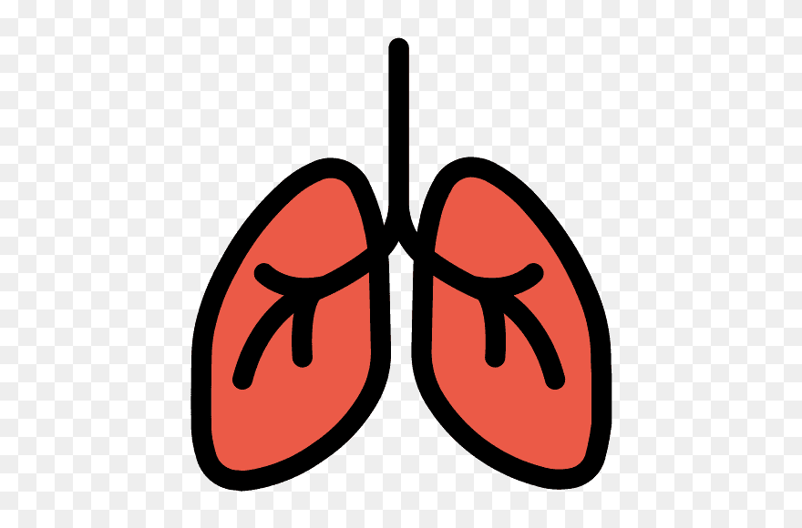 Detail Lungs Clipart Png Nomer 48