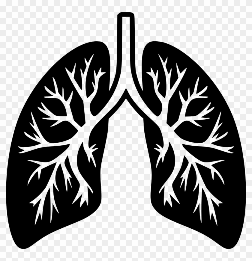 Detail Lungs Clipart Png Nomer 50