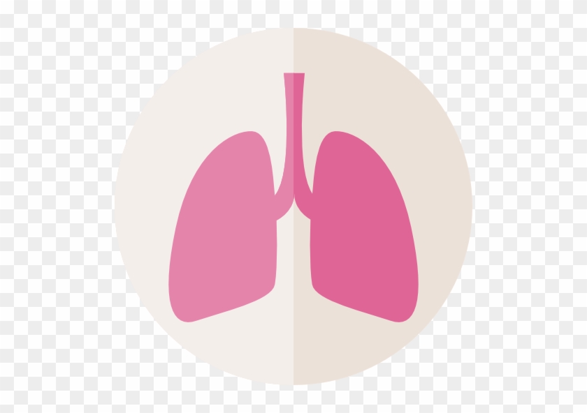 Detail Lungs Clipart Png Nomer 52