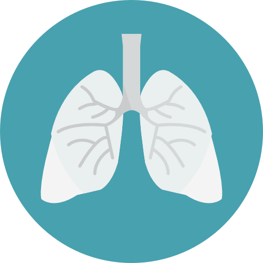 Detail Lungs Png Nomer 19