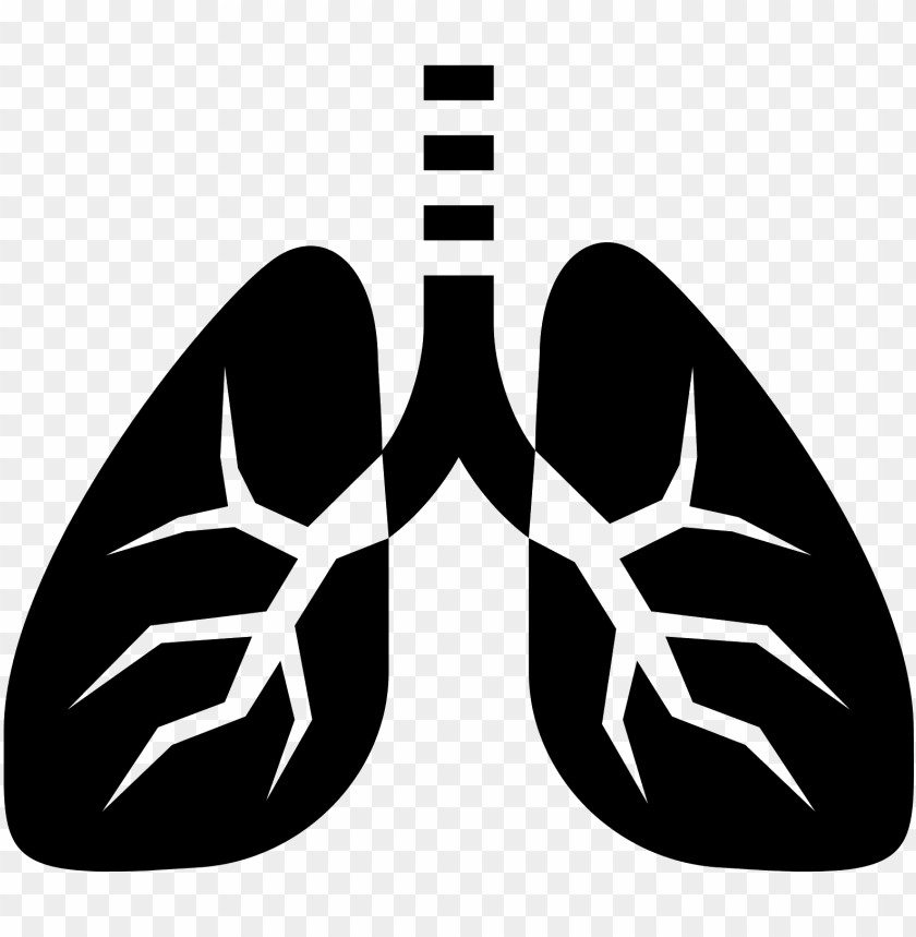 Detail Lungs Png Nomer 31