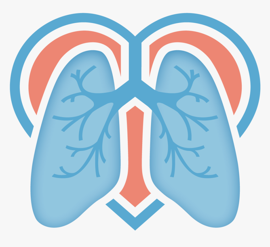 Detail Lungs Png Nomer 42