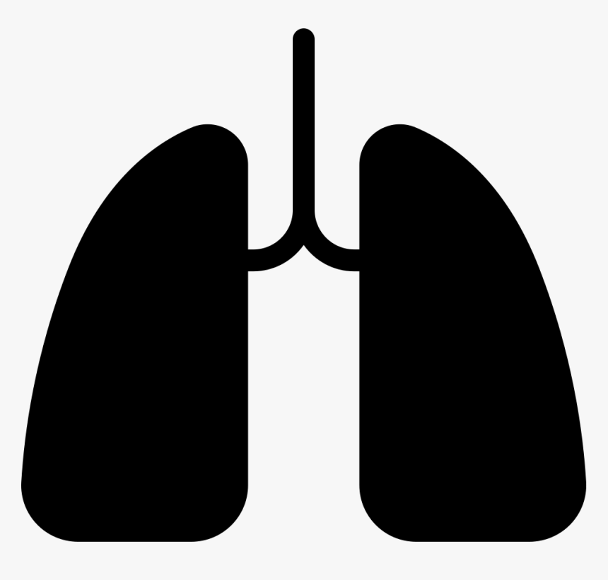 Detail Lungs Png Nomer 49