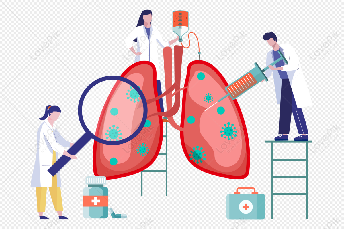 Detail Lungs Png Nomer 50