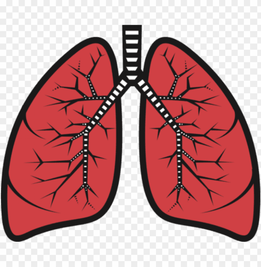 Detail Lungs Transparent Background Nomer 12