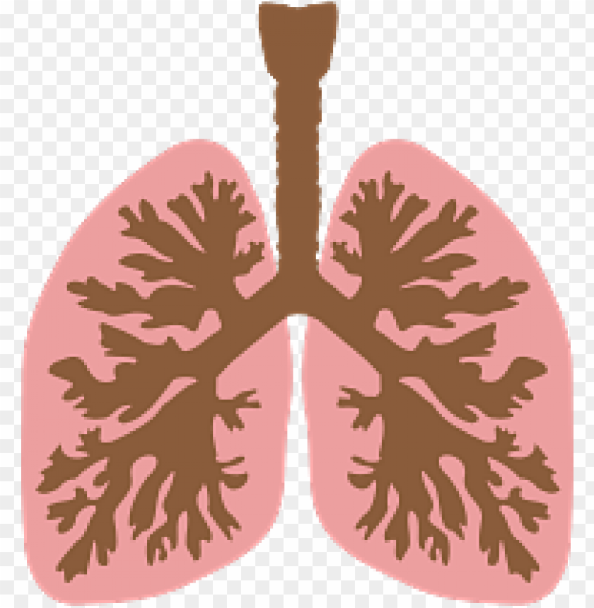 Detail Lungs Transparent Background Nomer 17