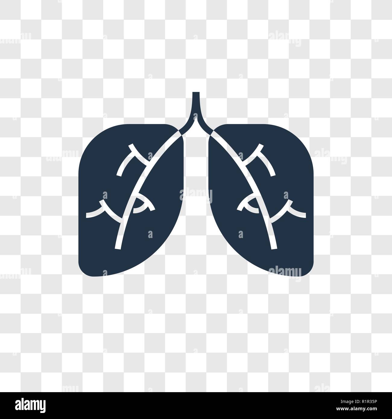 Detail Lungs Transparent Background Nomer 30