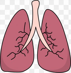 Detail Lungs Transparent Background Nomer 37