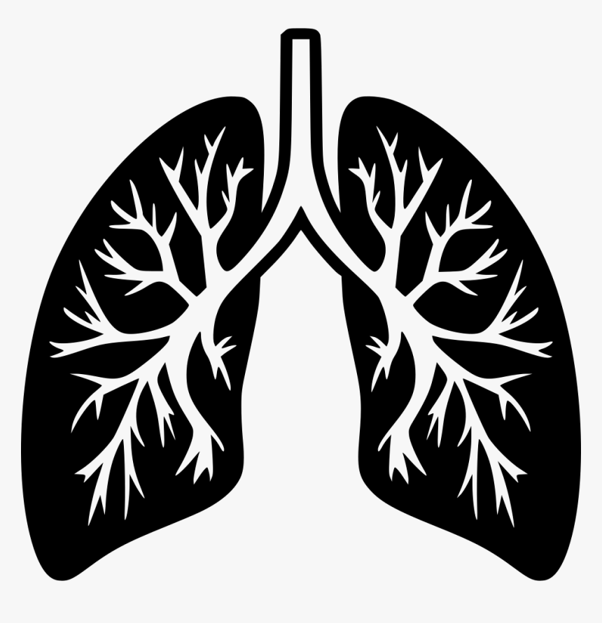 Detail Lungs Transparent Background Nomer 40
