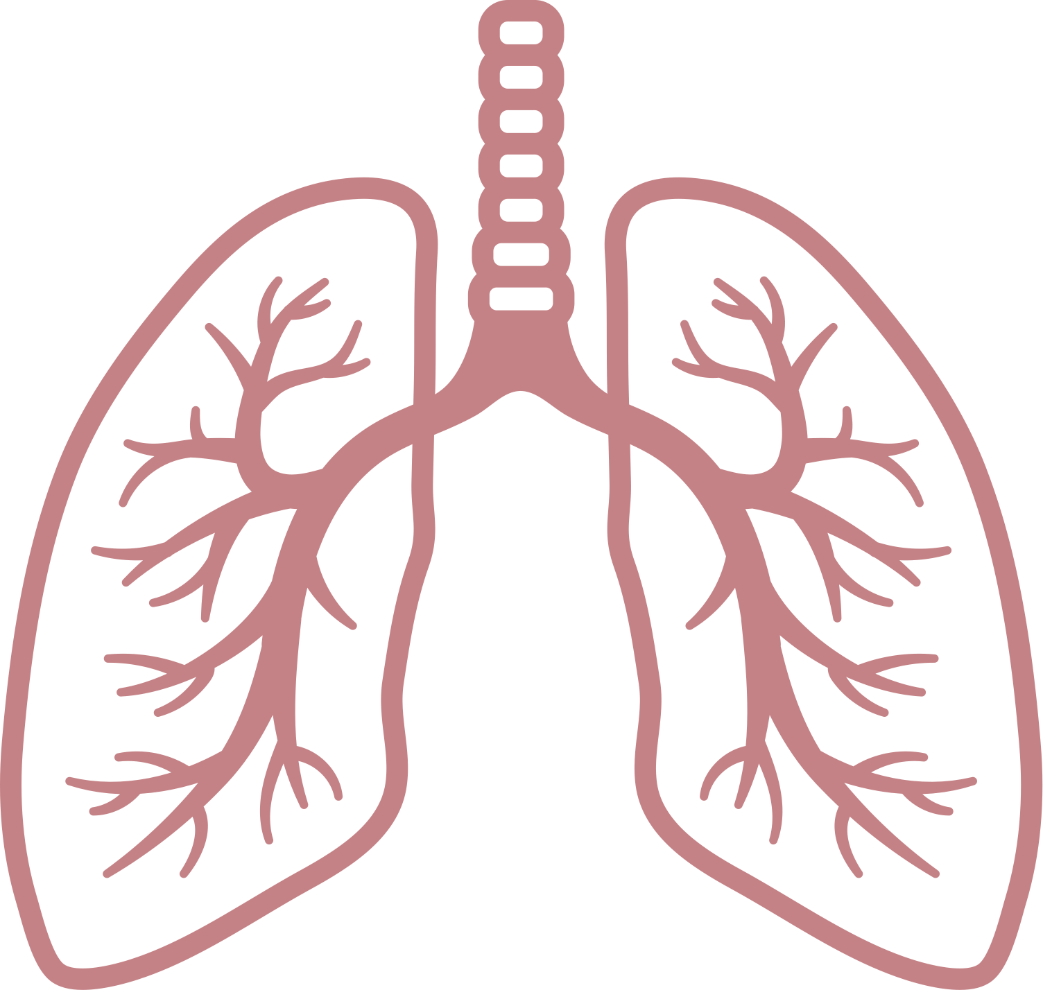 Detail Lungs Transparent Background Nomer 6