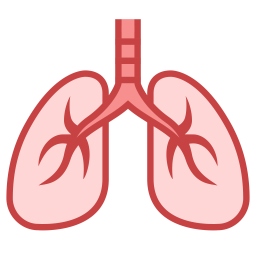 Detail Lungs Transparent Background Nomer 9