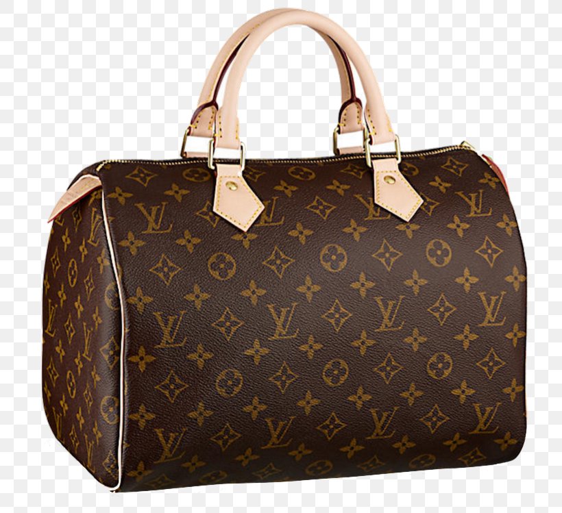 Detail Lv Bag Png Nomer 4