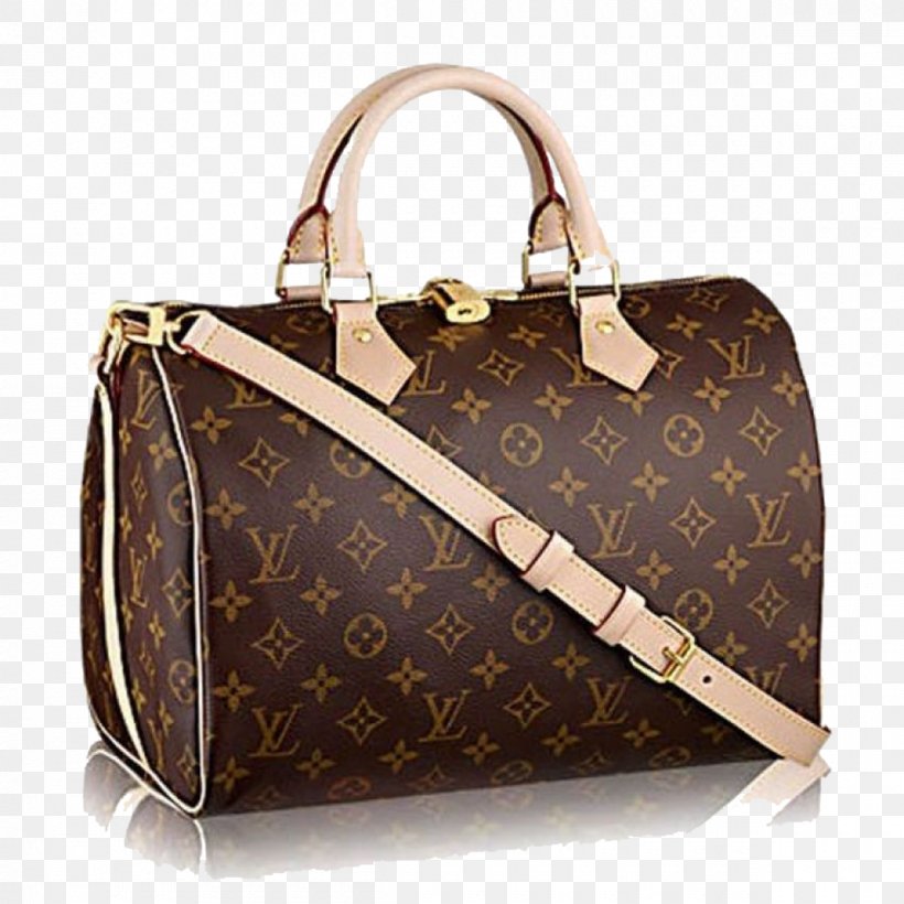 Detail Lv Bag Png Nomer 8