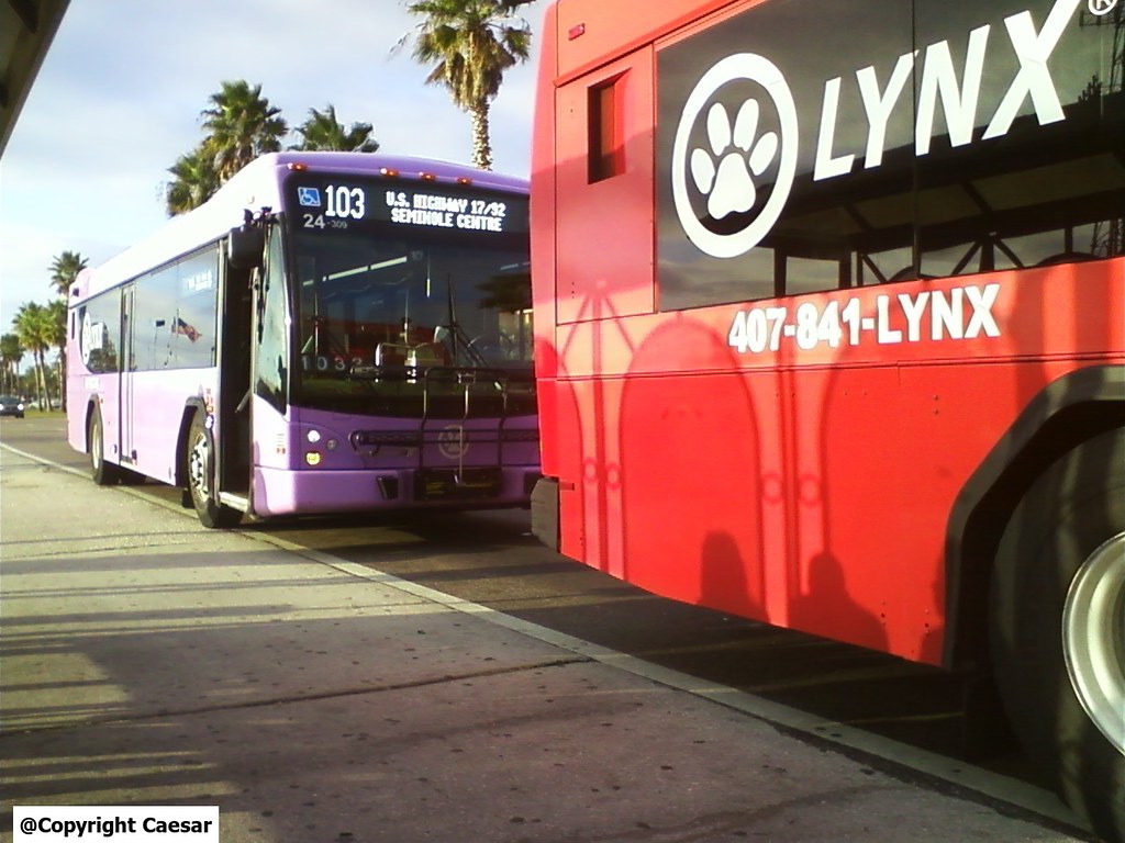 Detail Lynx 103 Bus Schedule Nomer 14