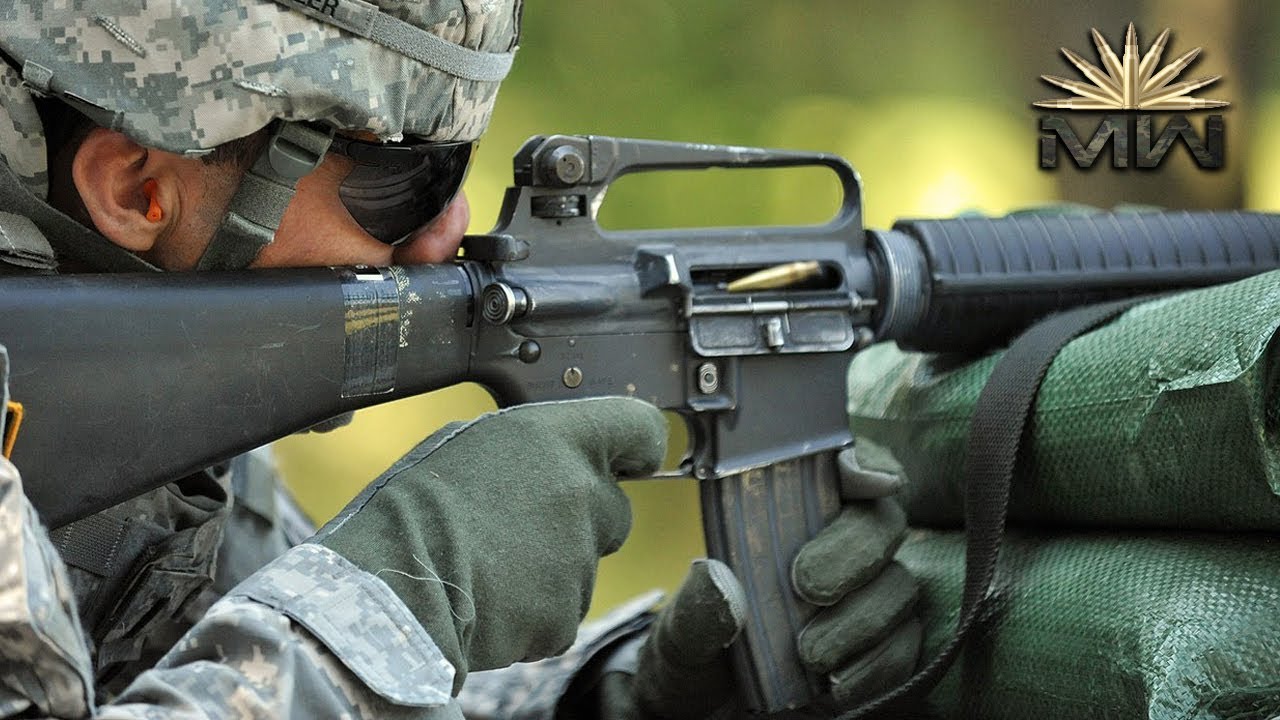 Detail M16 Rifle Picture Nomer 19