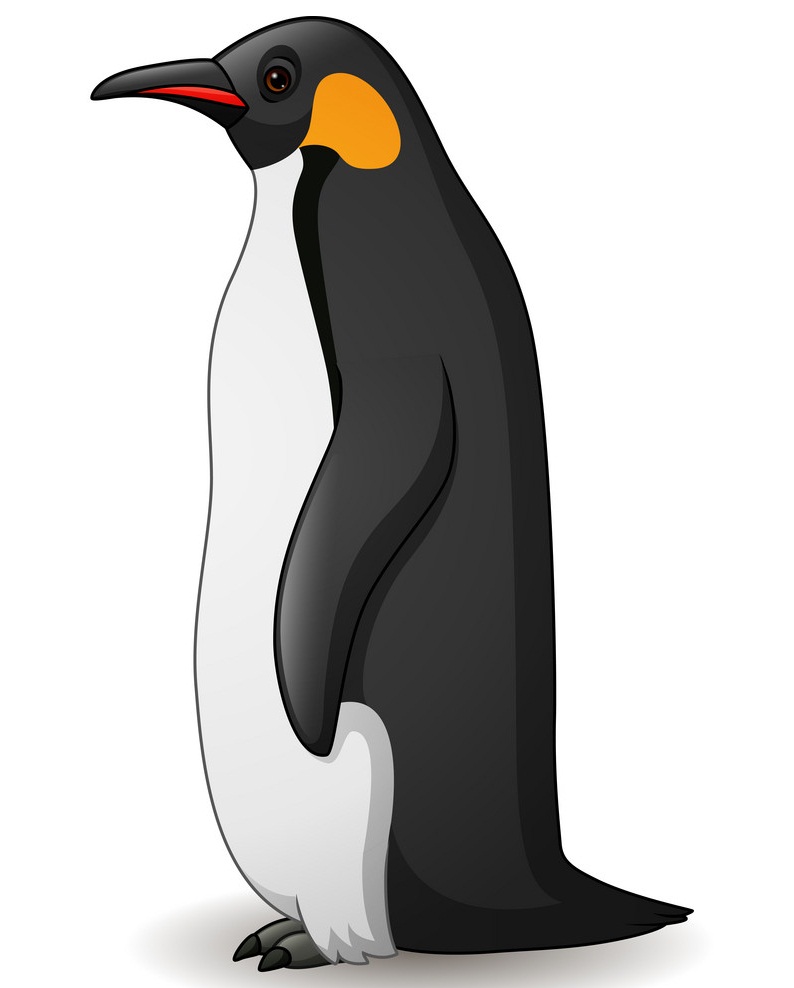 Detail Penguin Clipart Nomer 19