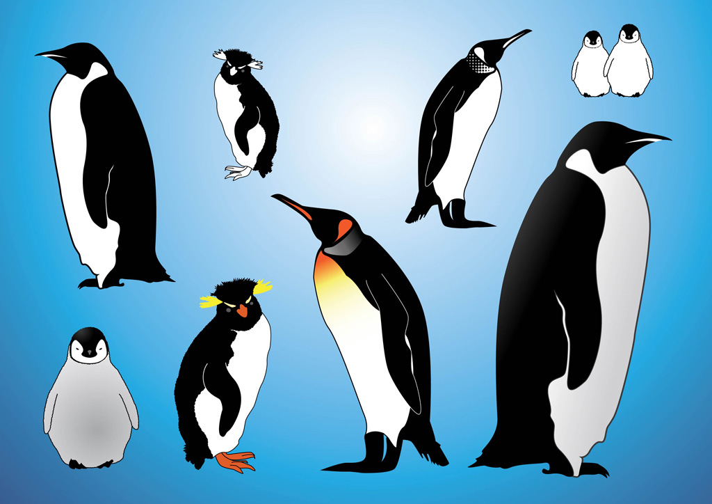 Detail Penguin Images Free Download Nomer 18